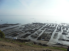 海,布列塔尼,景觀