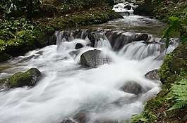 溪,河,水