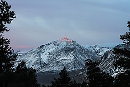 雪,冬天,樹