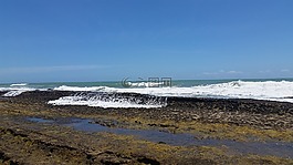 海灘,mar,石