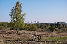 桦木,自行车,siebengebirge