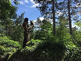 獵鷹,女子,性質(zhì)