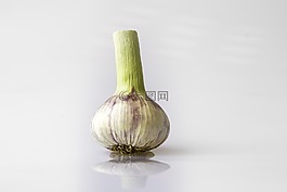 大蒜,頭大蒜,紫