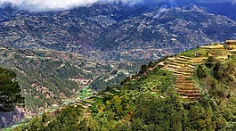 cardillera,山,范圍