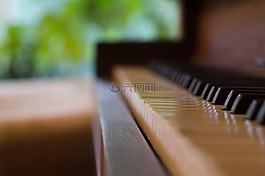 鋼琴,鍵盤,儀器