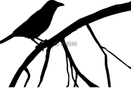 烏鴉,鳥,黑