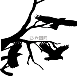 三,烏鴉,飛行