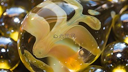桌面,顏色,健康