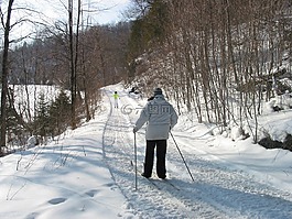 越野滑雪,雪,冬天