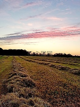 景觀,自然,天空