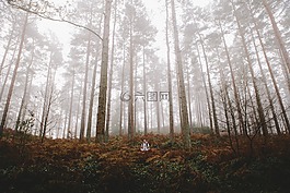 人,男子,徒步旅行