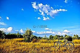 景觀,字段,自行車(chē)