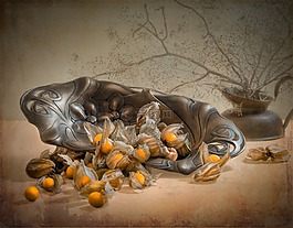 酸漿,漿果,甜