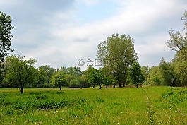 方式,草甸,景觀(guān)