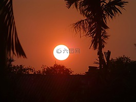 太陽,橙色,日落