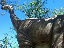 恐龙,bronchiosaurus,娱乐公园