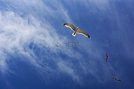 藍(lán)色,天空,云