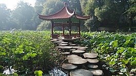 亭臺,風景,校園