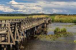春天湖,巴德布豪,木板路