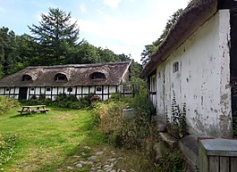 山寨,农场,国家