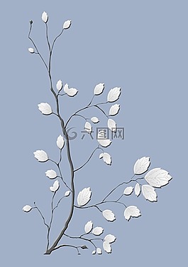 科,葉子,分支機構(gòu)