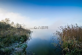 湖,霜,蘆葦
