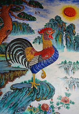 雞,公雞,家禽