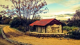 教堂,路徑,農村