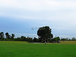 景觀,背景,綠色
