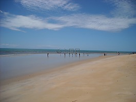 海灘,低潮,海