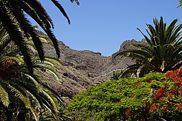 加那利群島,特內(nèi)里費(fèi),景觀