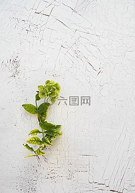 廠,綠色,背景
