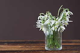 斯诺德罗普,花,花瓶