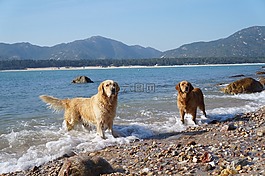 唯美,海浪,藍天白云