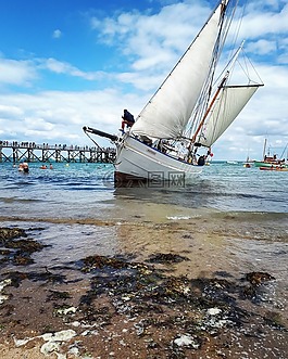 海洋,帆船,浮桥
