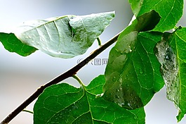 雨,水,濕