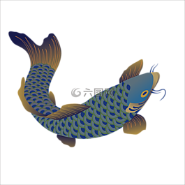 魚,動物,自然