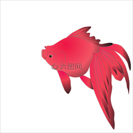 符號(hào),海,魚