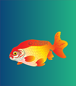 魚,海,自然