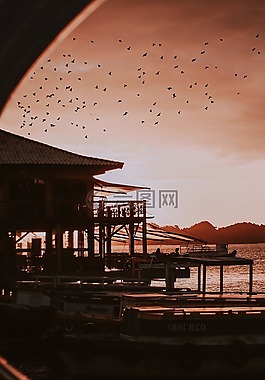 日落,溶膠,天空