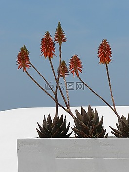 性質(zhì),夏季,廠