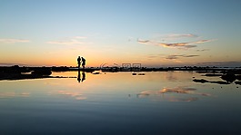 海,海洋,水