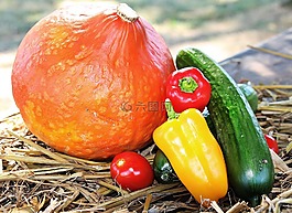 感恩節(jié),南瓜,辣椒粉