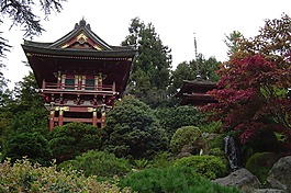 花园,中国,植被