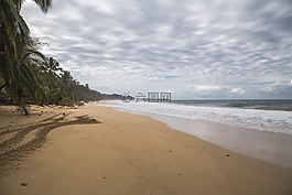 海灘,沙,橙色
