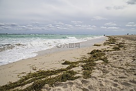 海灘,沙,橙色