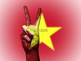 越南,和平,手