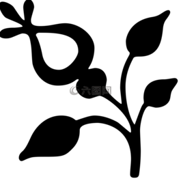 葉子,花,神秘