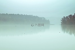 湖,霧,池塘