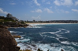 沖浪,海岸,海